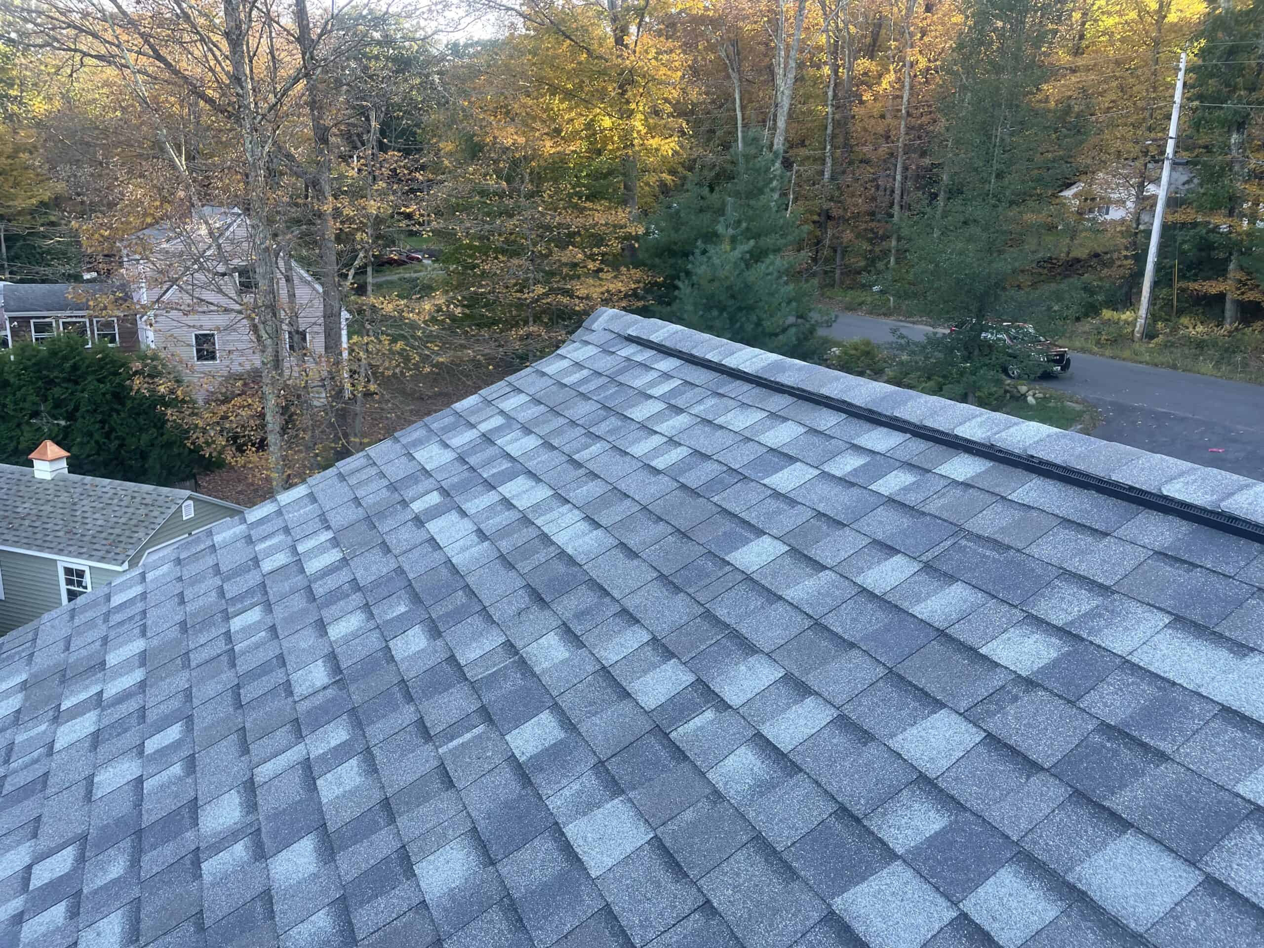 a gray shingled roof with trees in the background.